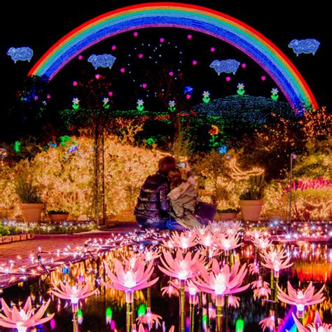 Enjoy magical Illuminations at Ashikaga Flower Park - 1h 30min from Tokyo