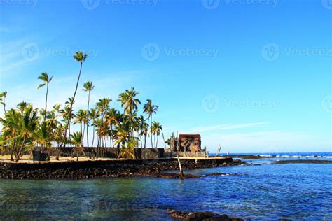 Hawaii Beach and Coconut Palm Trees 889153 Stock Photo at Vecteezy