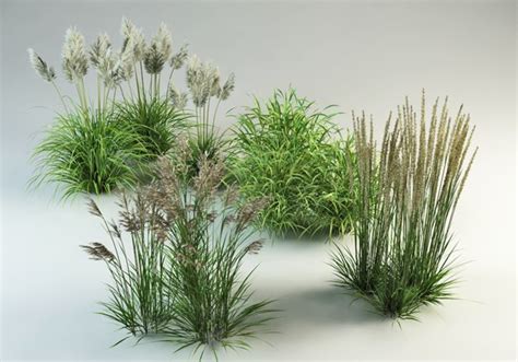 free grass 3d model