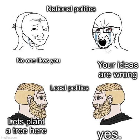 National vs local politics : r/memes