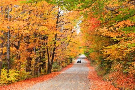 New Hampshire in Fall: 8 Incredible Ways to Enjoy It!