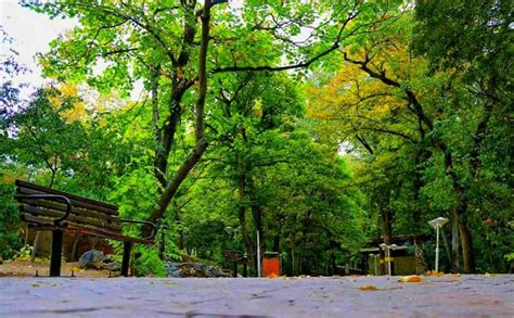 10 Most Attractive Tehran Parks Worth a Visit | Apochi.com