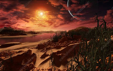 Exoplanet Kepler 186 f, illustration - Stock Image - C054/1284 - Science Photo Library