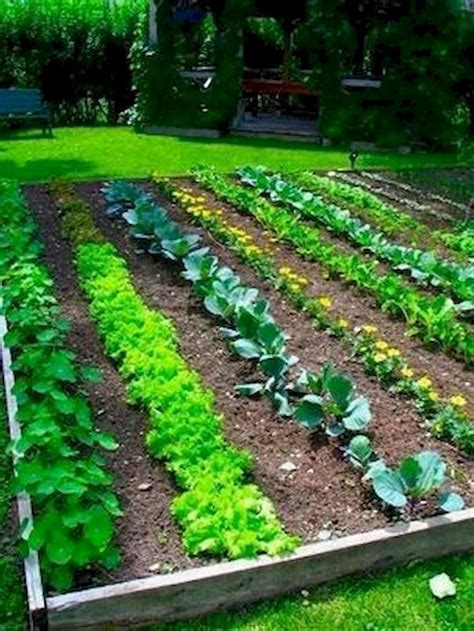 50 Most Productive Small Vegetable Garden Ideas for Small Space | Garden layout vegetable ...