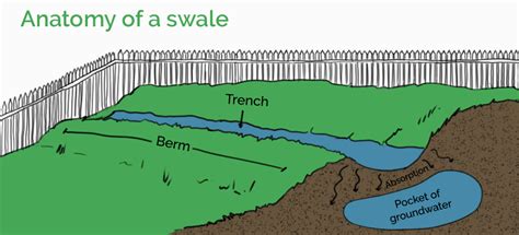 How a Swale Can Be a Perfect Fit for Your Yard - Fantastic Gardeners Blog Permaculture ...