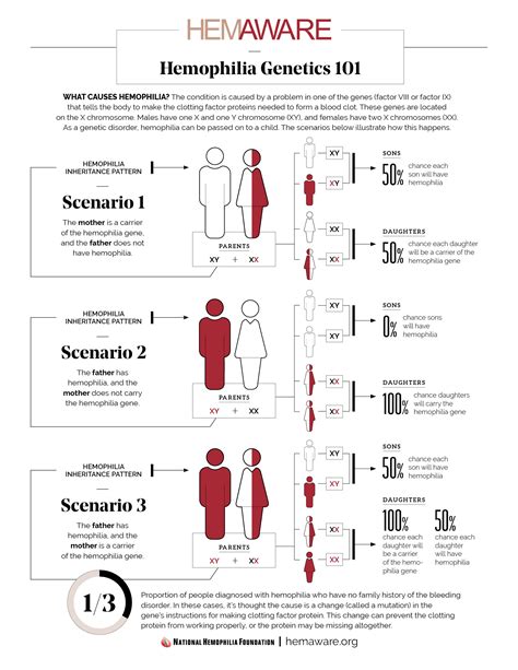 Genetic Counseling | HemAware - The Bleeding Disorders Magazine