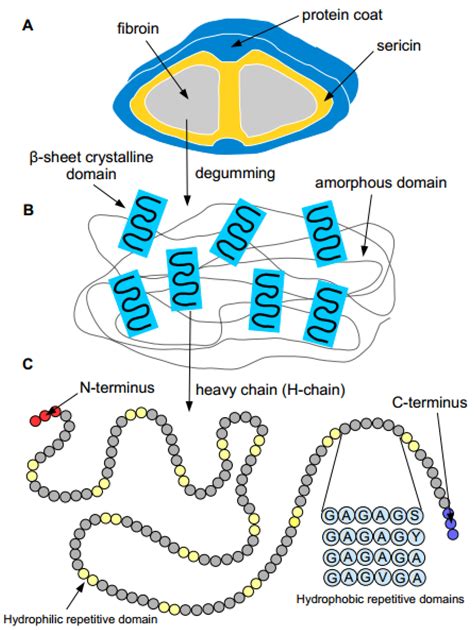 JFB | Free Full-Text | Tissue Regeneration: A Silk Road | HTML