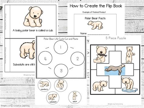 Polar Bear Life Cycle Printables - Simple Living. Creative Learning