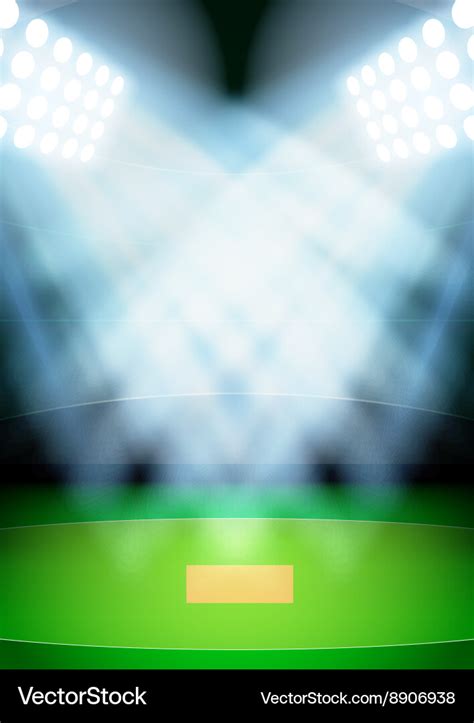 Background for posters night cricket stadium Vector Image