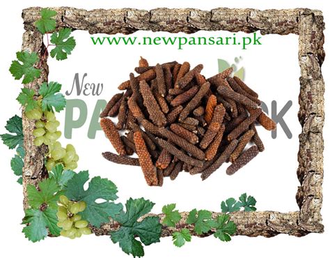 Long Pepper (Filfil Daraz) - New Pansari