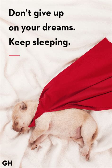 Funny Quotes About Dogs Sleeping - Daily Quotes