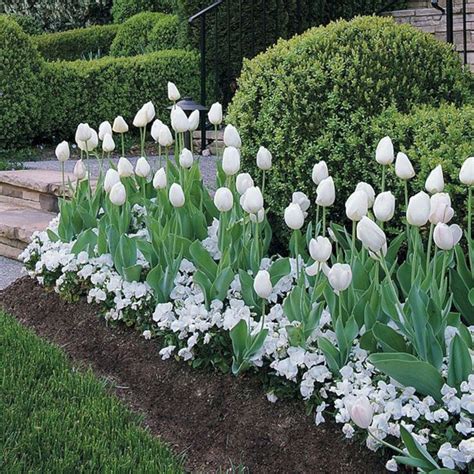 25+ Awesome White Garden Ideas With White Flower Collection in Your Garden / FresHOUZ.com ...