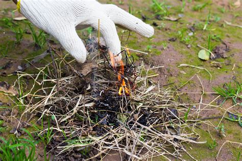 How to Use a Flint Stick: 5 Steps