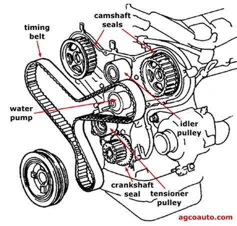 Typical timing belt components