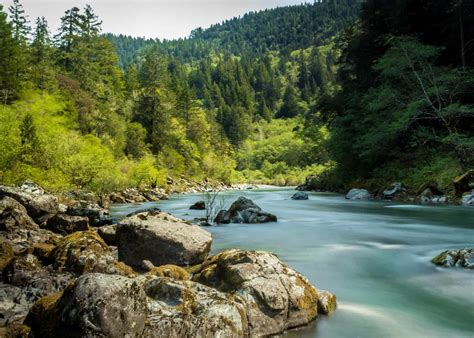 Why You Need to Explore Jedediah Smith Redwoods State Park