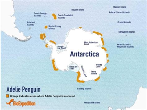 Chinstrap Penguin Habitat Map