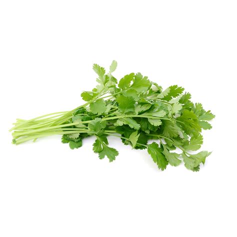 Chinese Parsley (Daun Sup) | Fresh Groceries Delivery | Redtick