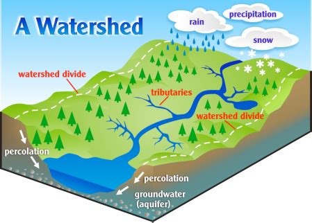 What is a Watershed?