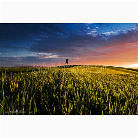 Crete Senesi - A Landscape Through The Seasons