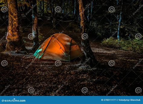 Camping at Night in the Mountains Forest Stock Image - Image of ...