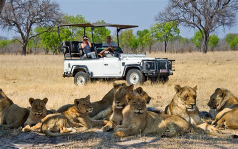 Zimbabwe & Botswana - Africa Itinerary - African Wildlife Safaris