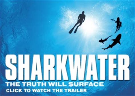 Best Florida Beaches: Sharkwater - Film Review