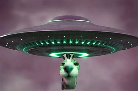 Green Alien Cat | Alienposting / Zeep Glorp | Know Your Meme