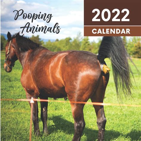 Animals Pooping Calendar: Funny dog cat wolf bird elephant and more in ...