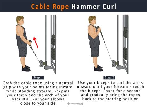 Cable Rope Hammer Curl