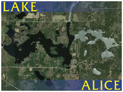 Lake Alice - Northwoods Community Realty