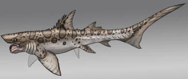 Mod:ARK Additions/Helicoprion - ARK: Survival Evolved Wiki