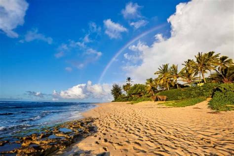 The 10 Best Beaches on the North Shore of Oahu, Hawaii