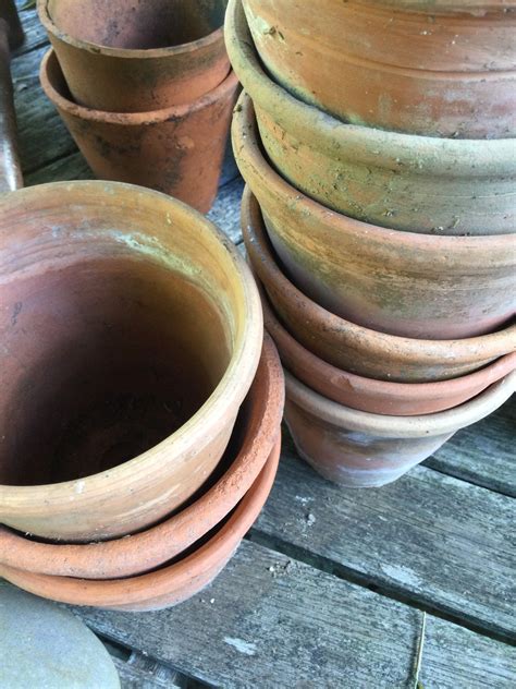Pair of Vintage Terracotta Plant Pots | Etsy UK