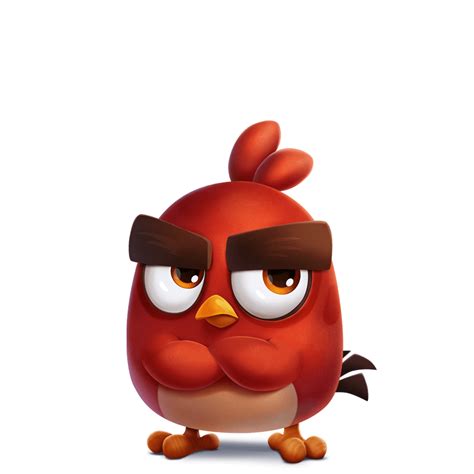 Incredible Compilation: Over 999 Angry Bird Images in Stunning 4K Quality