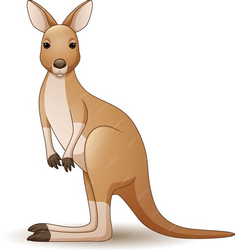 Premium Vector | Illustration of Kangaroo isolated on white background