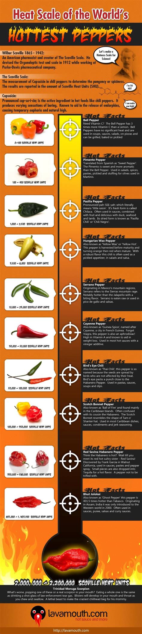 17 Best images about Pepper Types on Pinterest | Vegetables, Le'veon ...