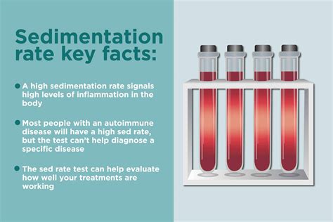 ESR - What Is the Erythrocyte Sedimentation Rate Blood Test?