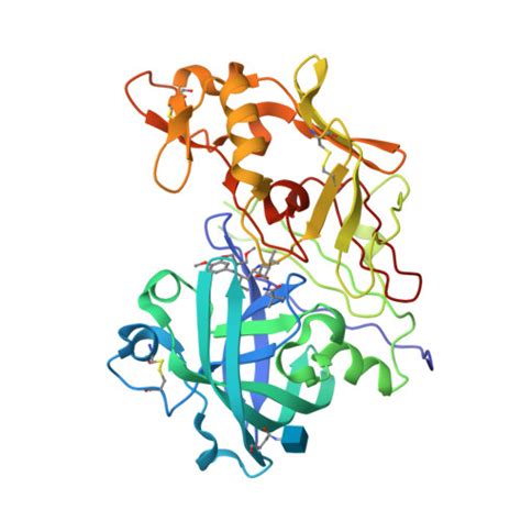 RCSB PDB - 2V0Z: Crystal Structure of Renin with Inhibitor 10 (Aliskiren)