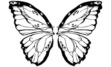 Butterfly Wings Drawing | Free download on ClipArtMag