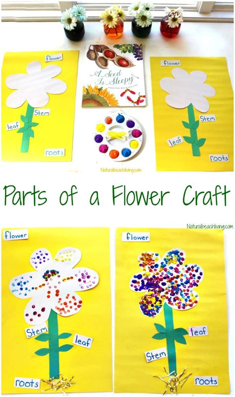 Flower Art Lesson Kindergarten | Best Flower Site