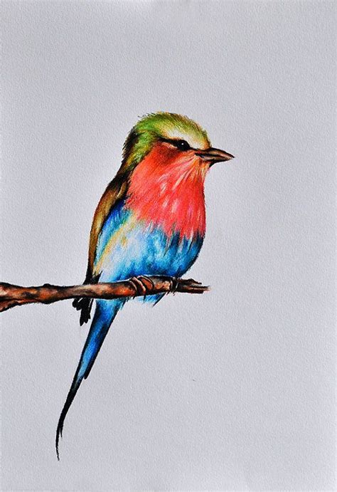 Original Colored Pencil Drawing, Bird Painting, Bird Art 8x11 Inch | Bird drawings, Color pencil ...