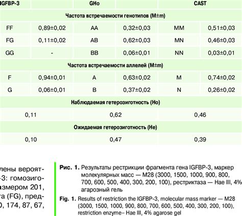 Allelic polymorphism of Romanov sheep for the meat productivity genes... | Download Scientific ...