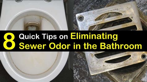 How to Get Rid of Sewer Smell in the Bathroom - 8 Quick Tips on ...