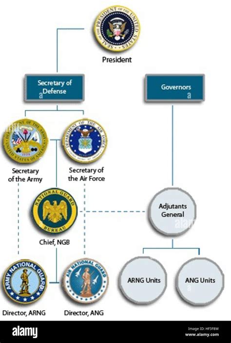 National Guard Bureau organizational chart Stock Photo - Alamy