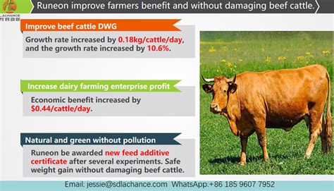 Pin on Ruminant Nutrition