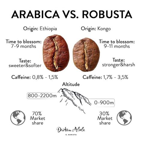 Arabica vs. Robusta | Gourmet coffee beans, Coffee infographic, Coffee ...