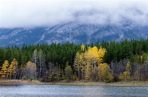 Muted Fall Colors in the Mountains - PentaxForums.com