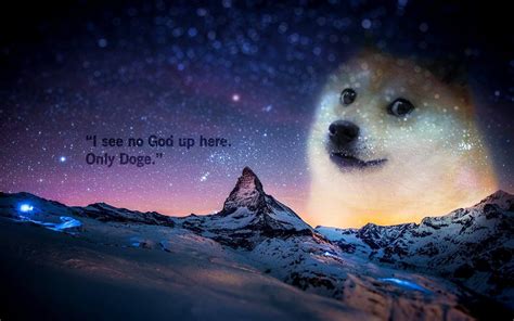 Doge Wallpapers on WallpaperDog