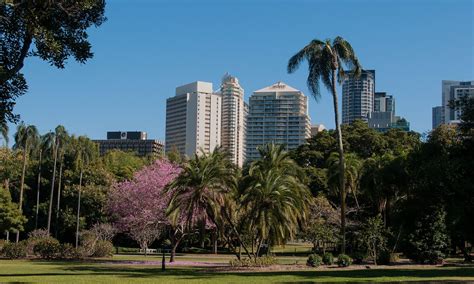 Brisbane City Botanic Gardens - Ed O'Keeffe Photography