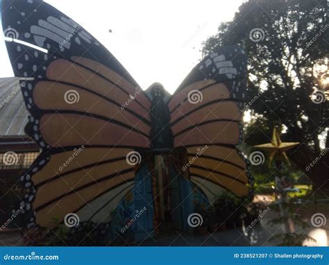 Butterfly Park, Bannerghatta National Park and Zoo, Bangalore ...